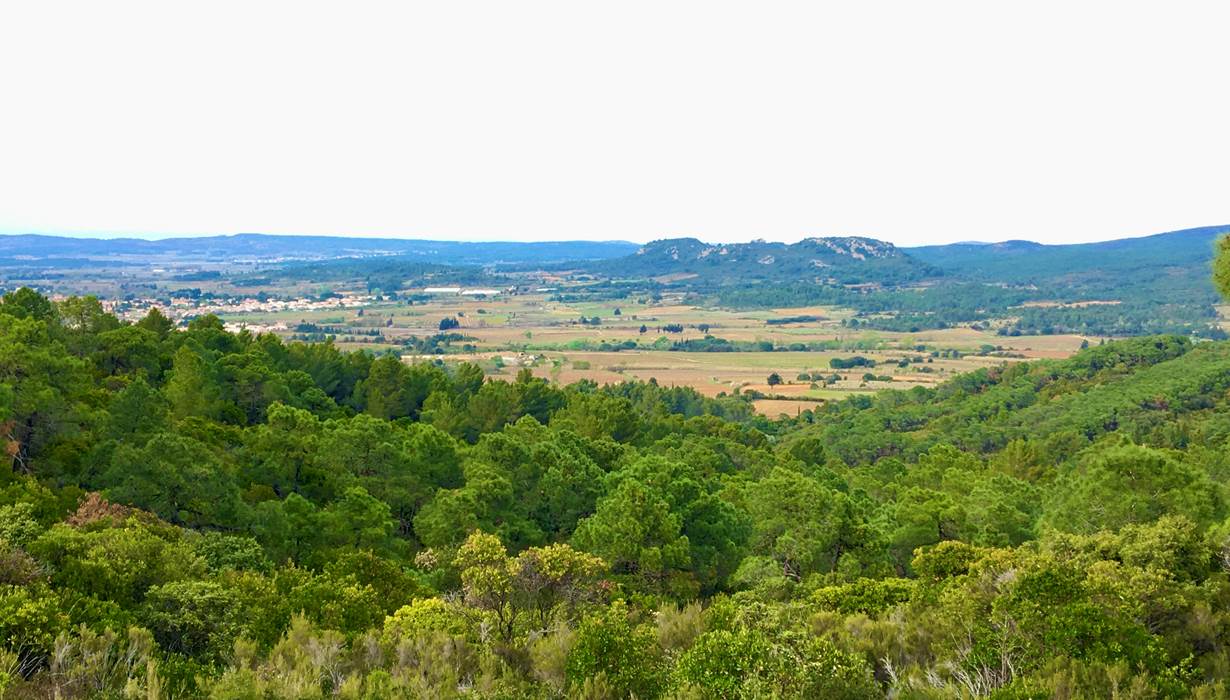 massif de Fontfroide