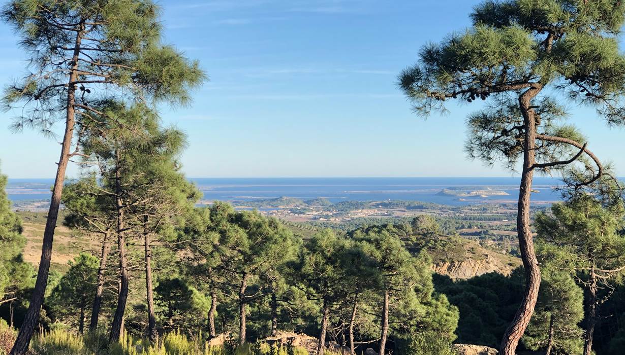 massif de Fontfroide