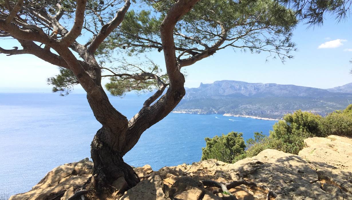 Route des Crêtes La Ciotat - Cassis