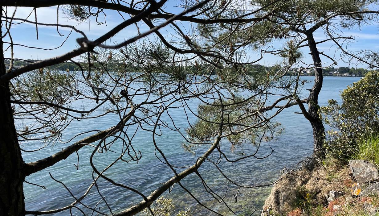sentier-cotier-baden-golfe-du-morbihan-randonnee-bretagne-nature-vacances