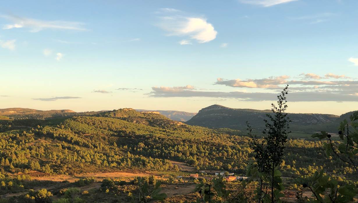 massif de Fontfroide