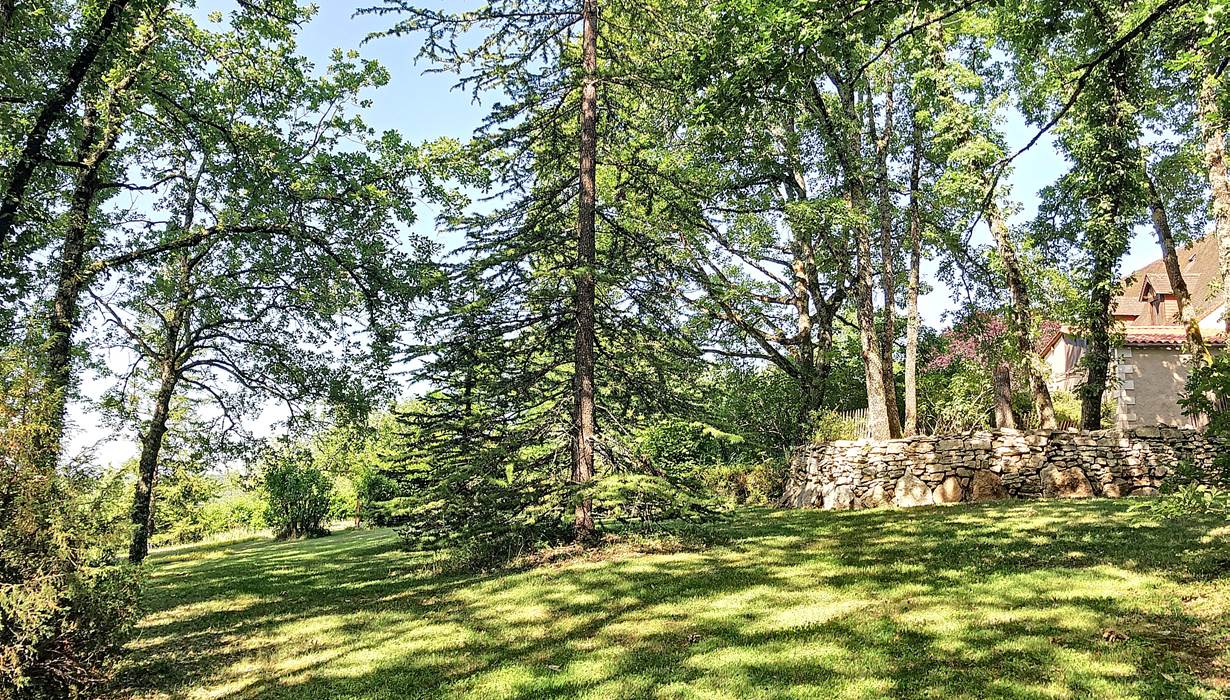 terrain arboré