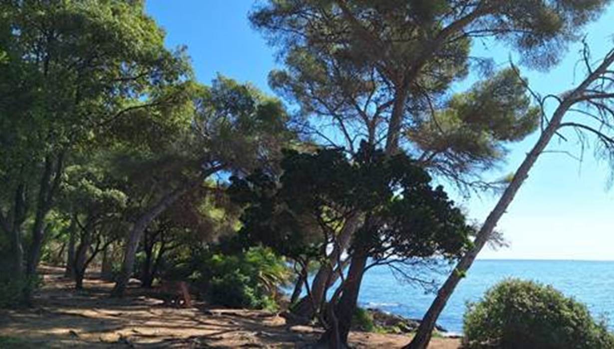 Promenade aux Issambres