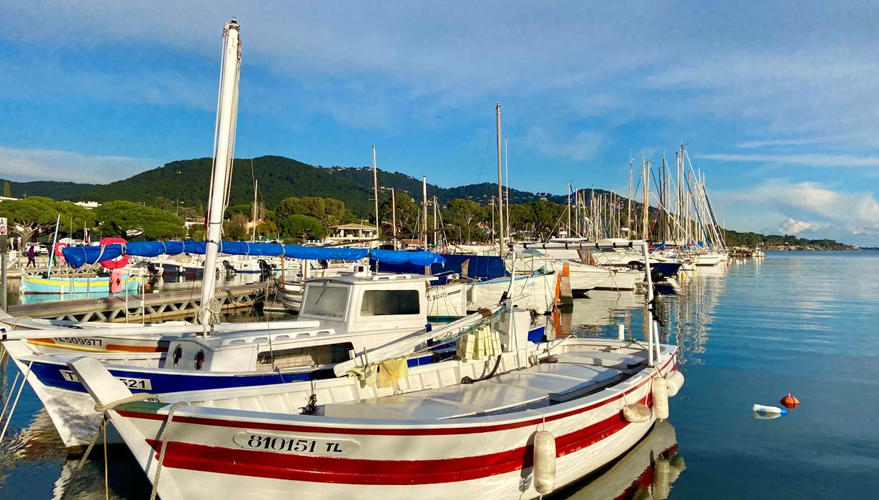 Pointu au port de Carqueiranne
