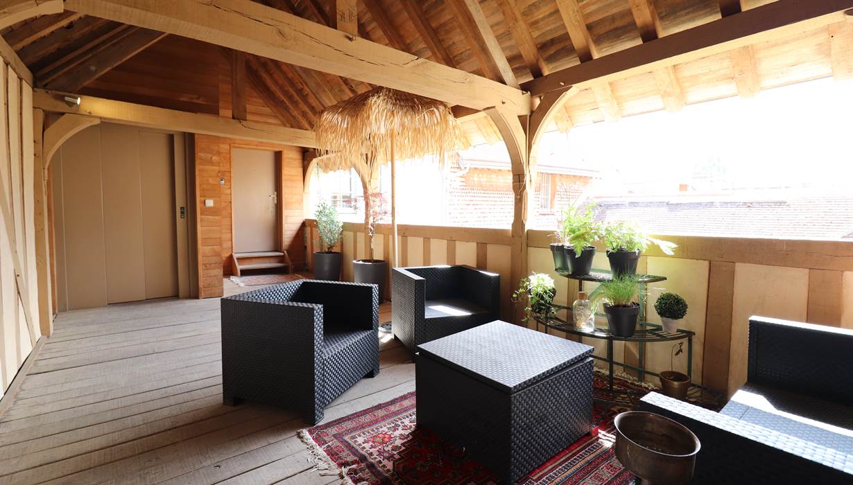 Patio-1773328471034