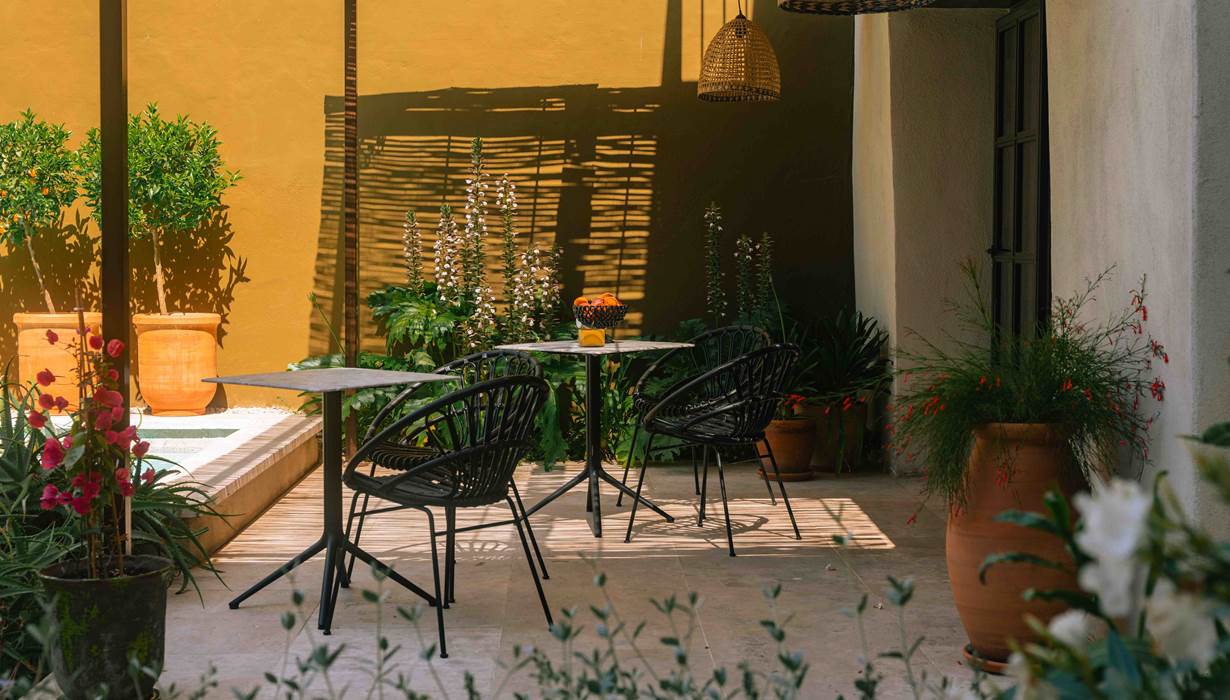 3 BD jeu d'ombre sur le terrasse de Marcelle en Camargue