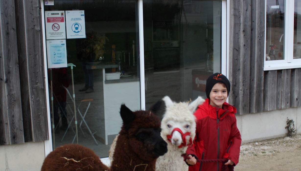 alpagas_enfants_ferme