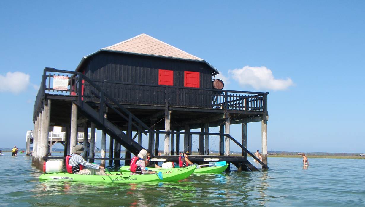 Les cabanes Tchanquées sur le Bassin d'Arcachon avec Becalou