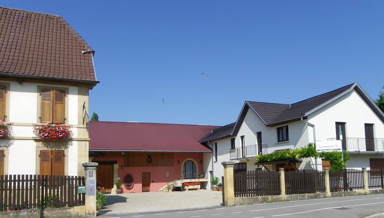 2IMGP0141