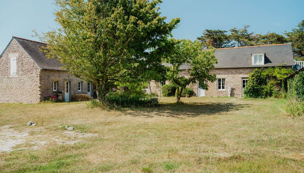 Vue générale de la cour