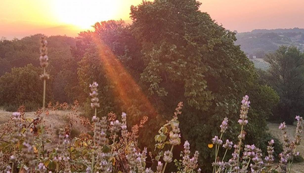 La nature dans toute sa splendeur