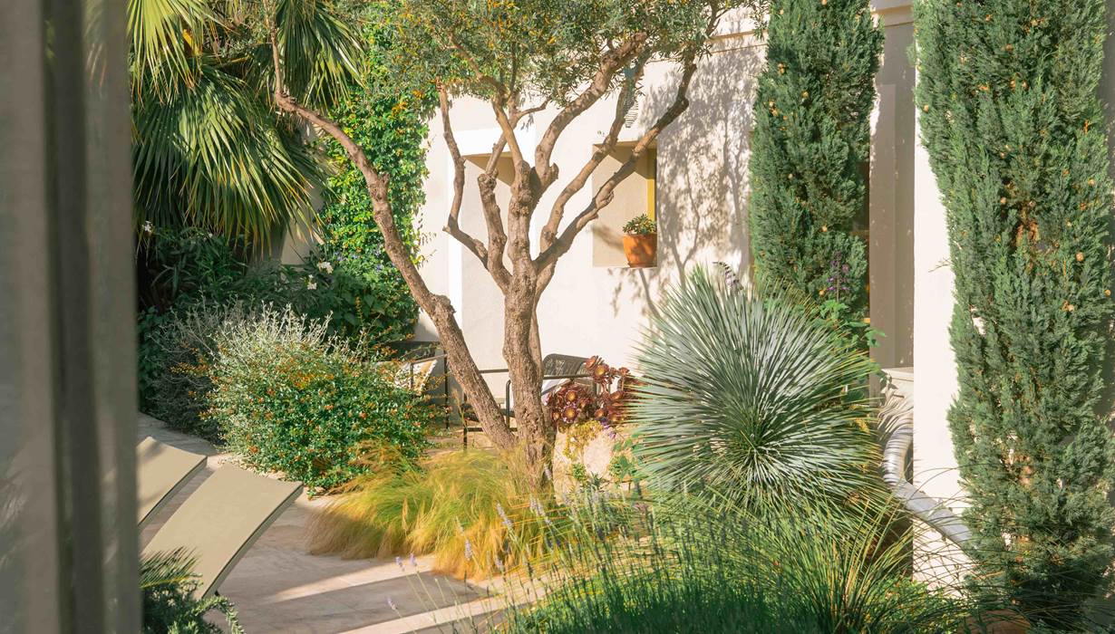 3 BD le jardin luxuriant de Marcelle en Camargue
