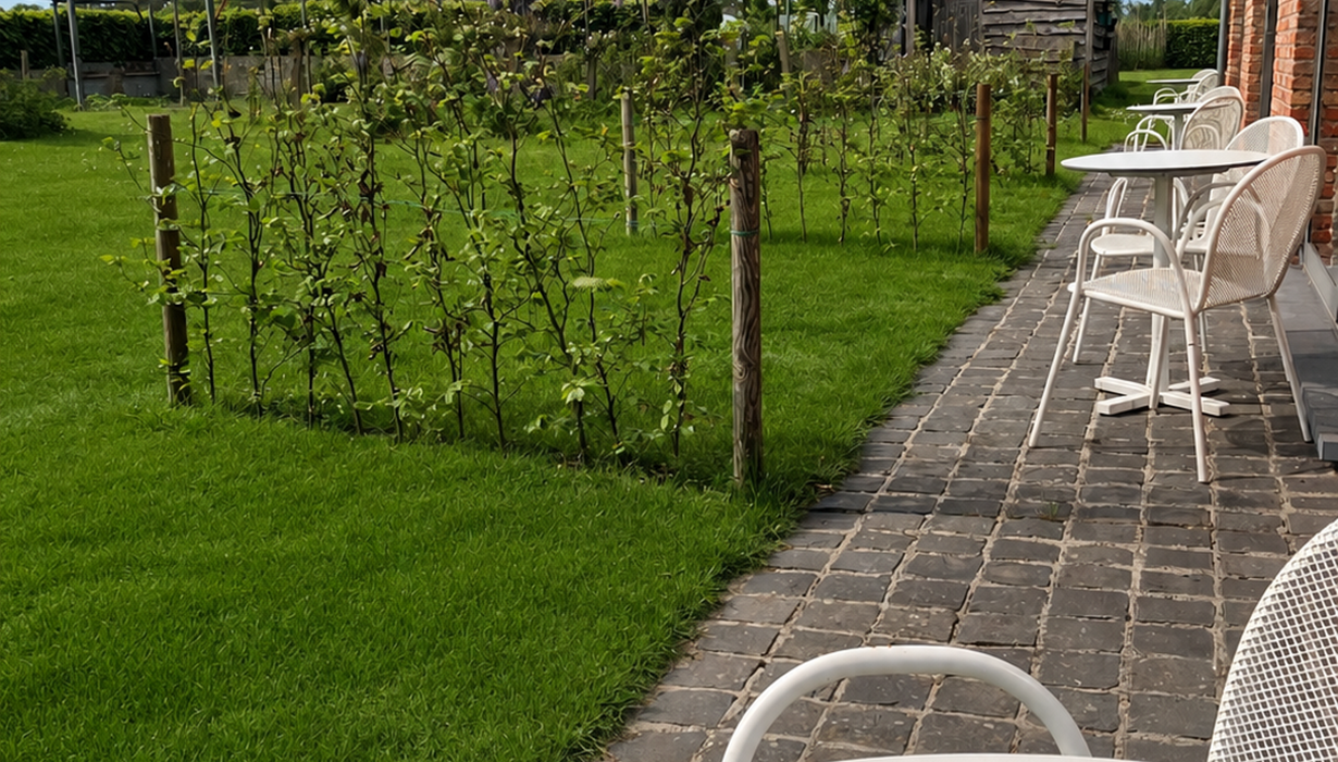 Tuin B&B kamers 
