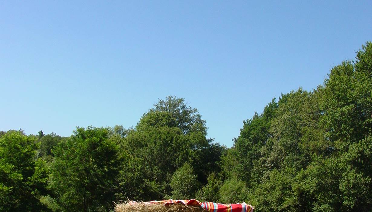 zen au camping, natuurlijke rust, tranquillité naturelle