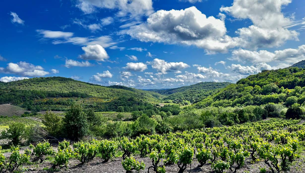 Gites Corbieres20