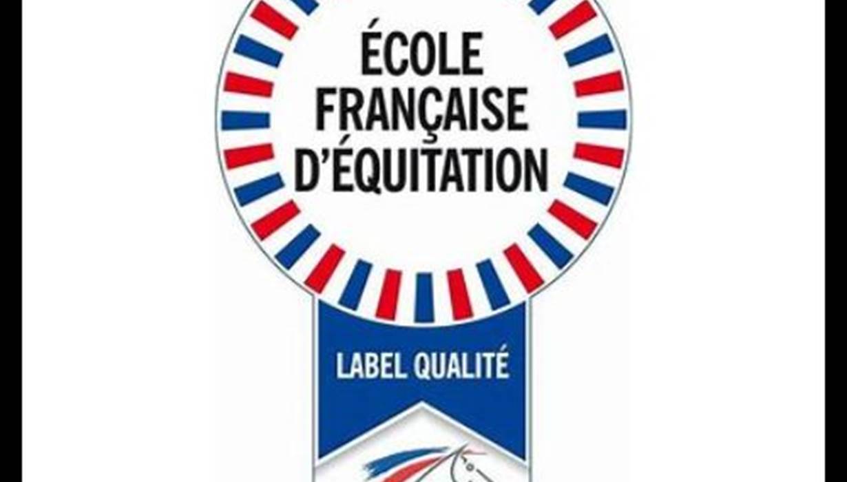 Sans titre