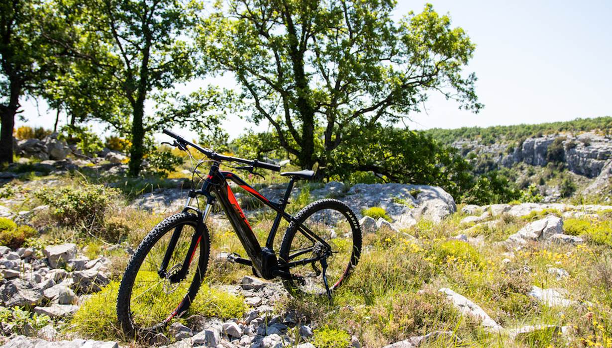 BOIS DE GOURDON