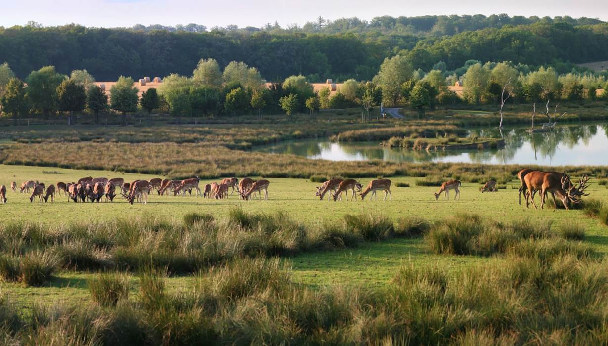 Parc sainte croix 3