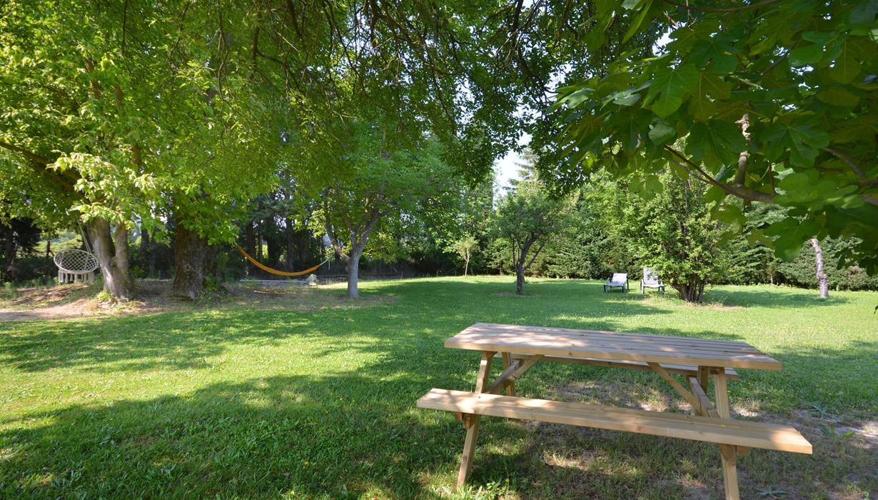 le parc ombragé