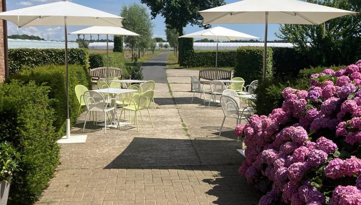 Aperitief terras 