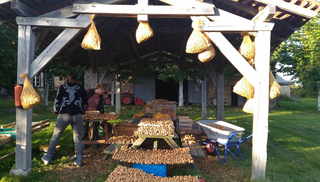 noix, produits locaux, camping locale producten, notenolie, huile de noix, noten boomgaard, noyeraie