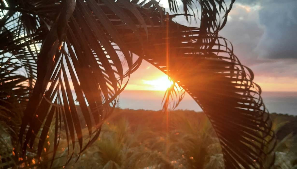Sunset domaine Oasis Grande Anse