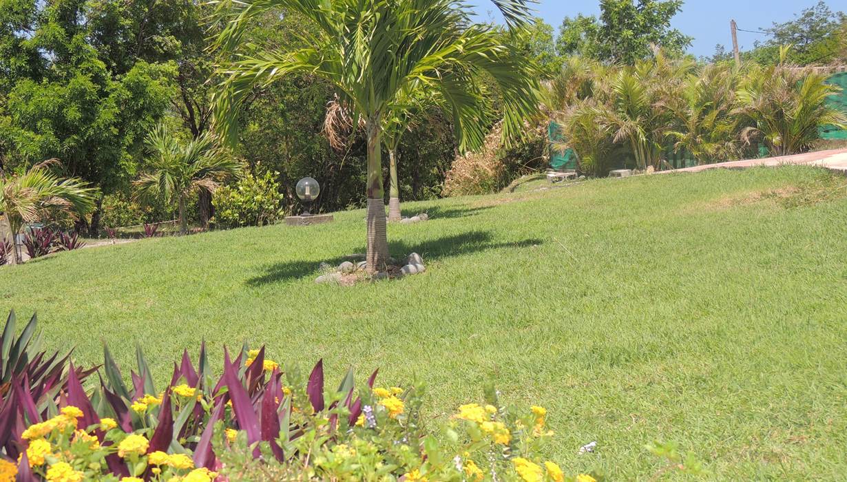 jardin