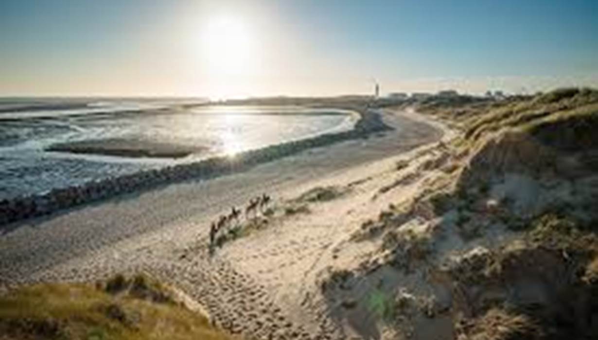 Baie d'Authie - Baie des phoques - Location de vélos Berck -
