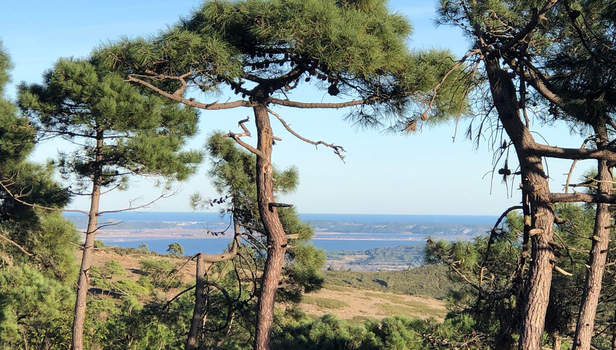 massif de Fontfroide