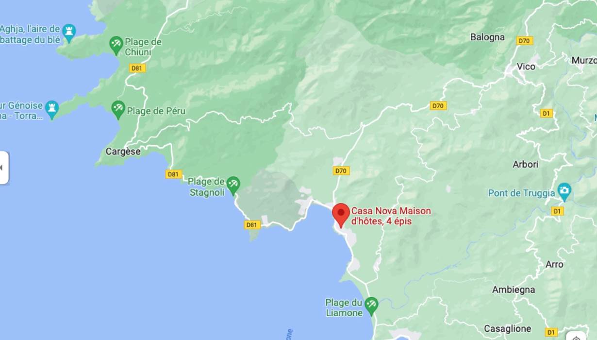 Google Maps