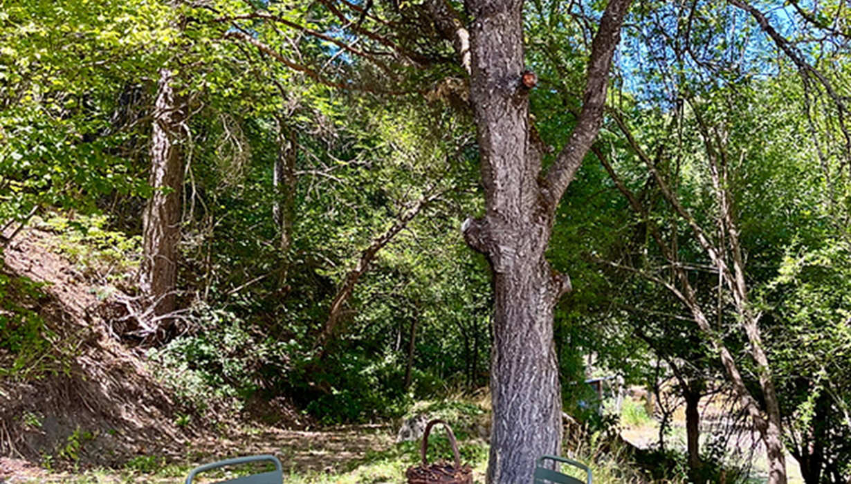 Jardin