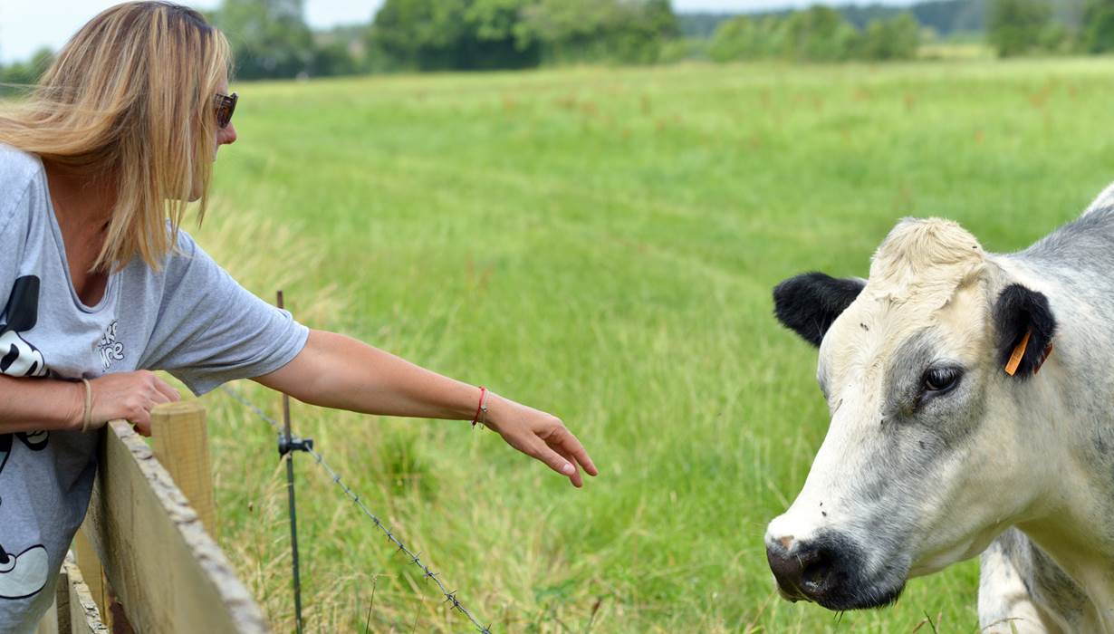 Insolites Chimay vue sur campagne (2)