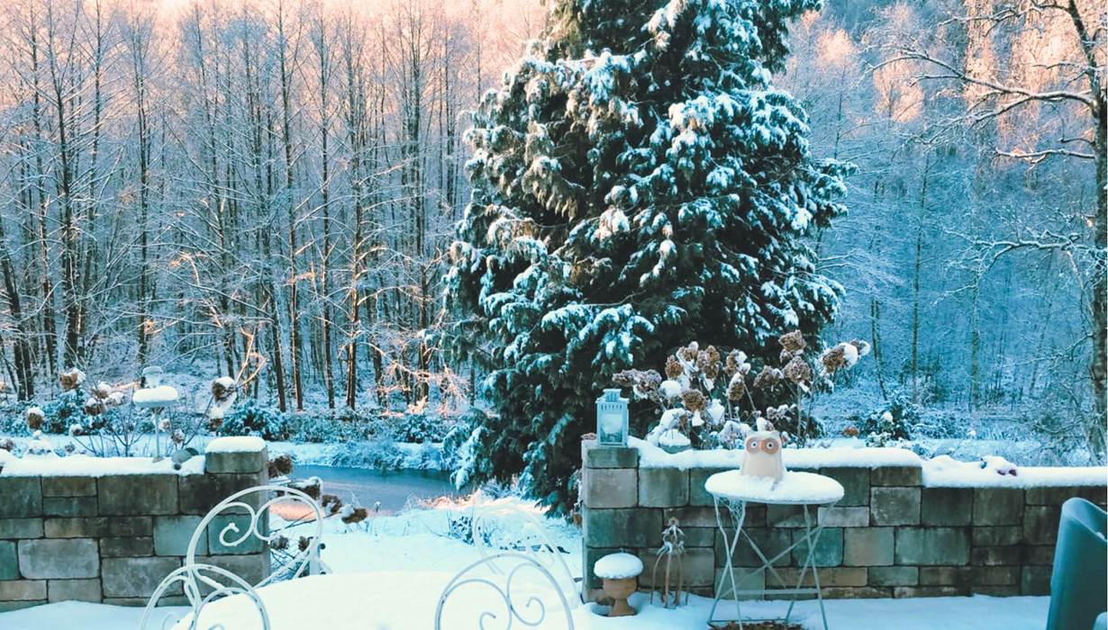 Au domaine de la Brême en hiver