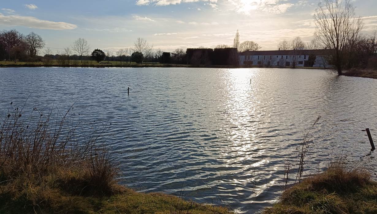 Notre domaine en pleine nature