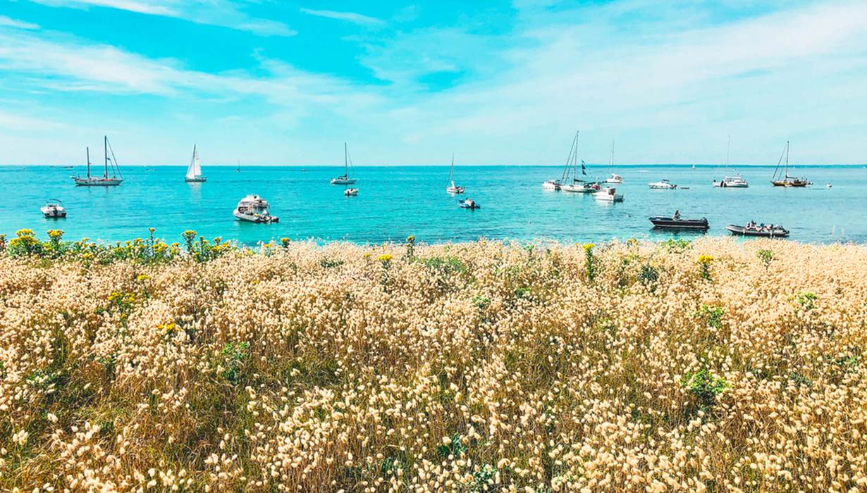 Île de Penfret les Glénan Fouesnant