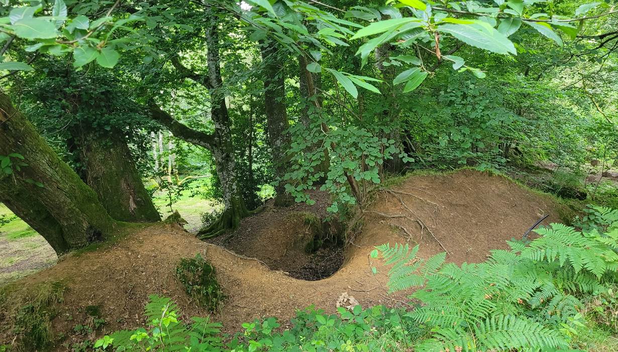 jouer dans les bois