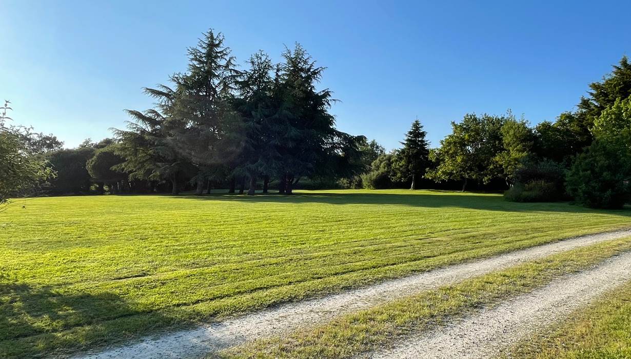parc-nature-maison-vacances-amis-baden-balade-bretagne-sud