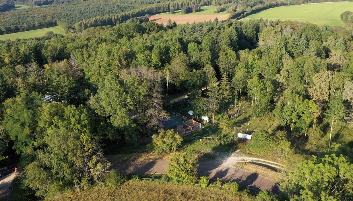 La foret est dangereuse en cas de grand vent