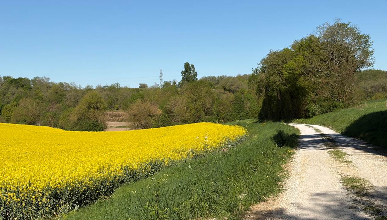 Balade pede`stre proche de la maison 1