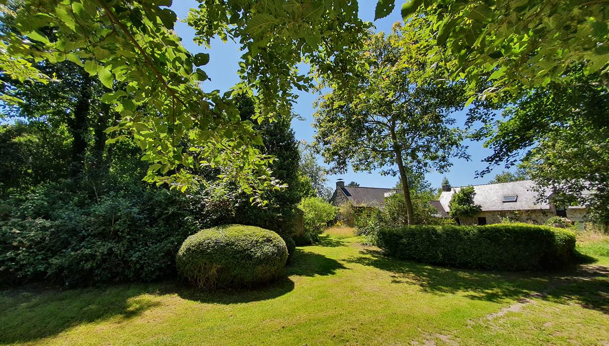 La cours au soleil paysage