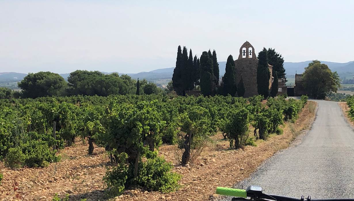 balade en VTT électrique dans les vignes