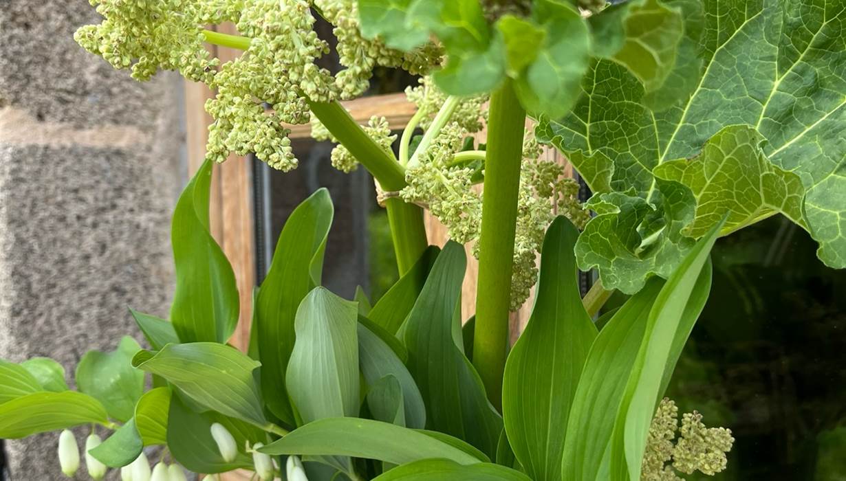 La marche des bois - Fleurs