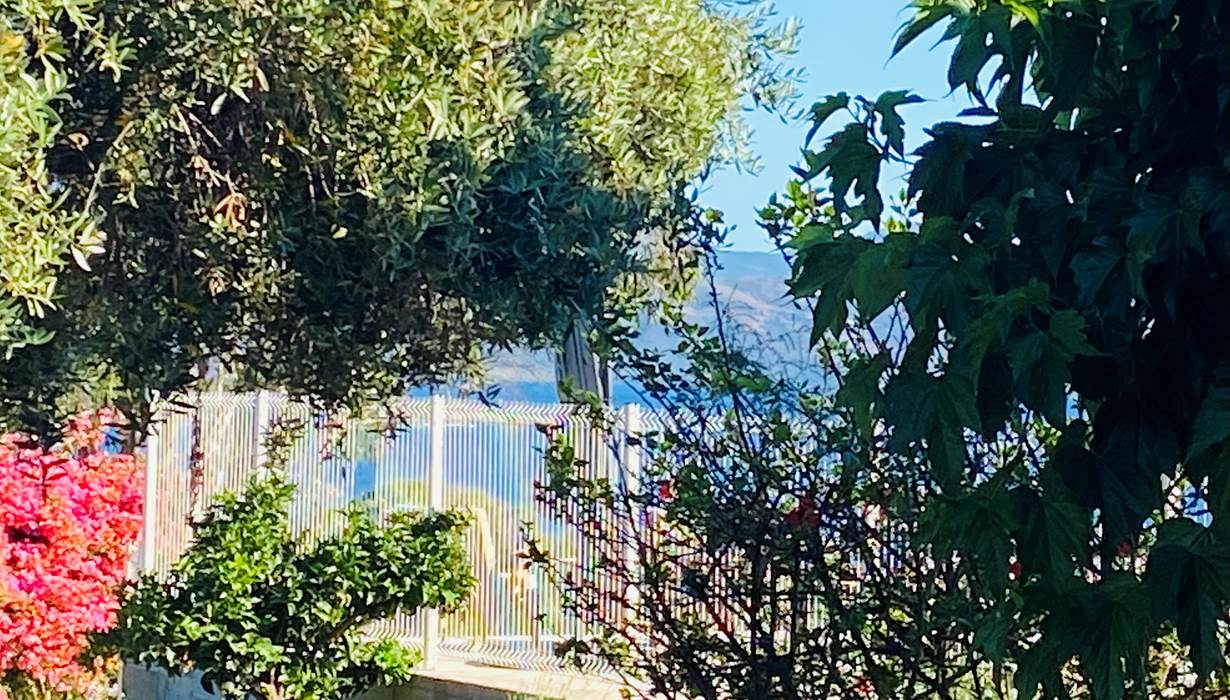 jardin corse