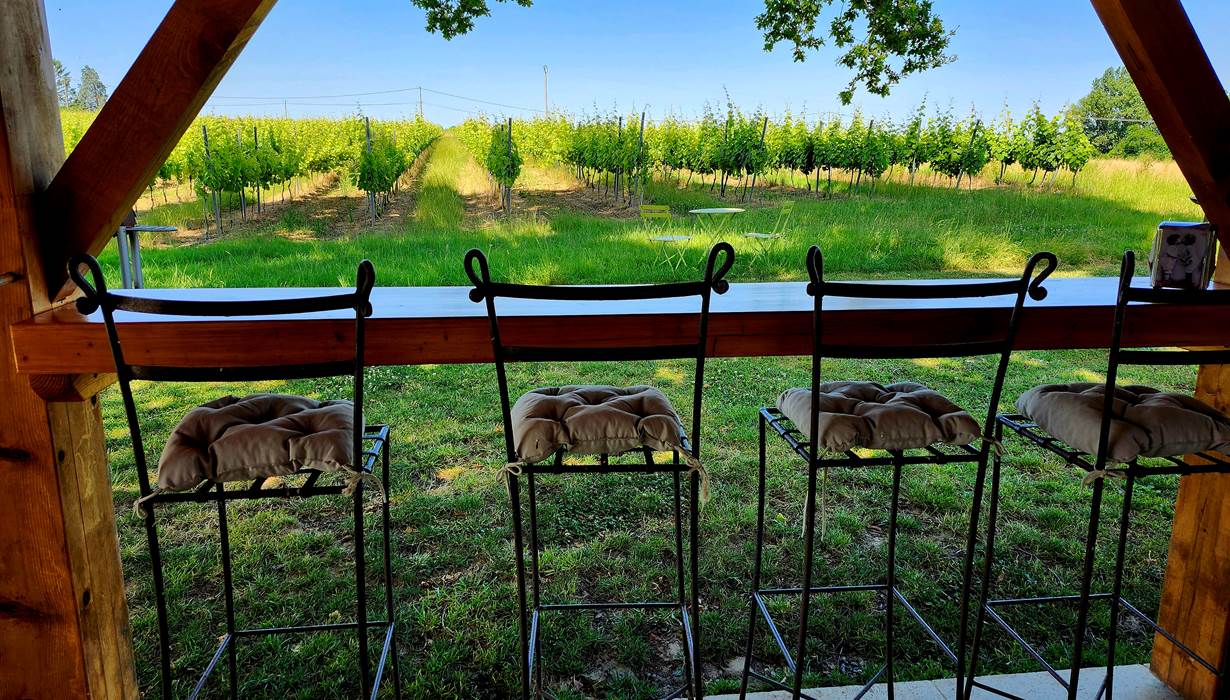 L'apéro vue sur les vignes ?
