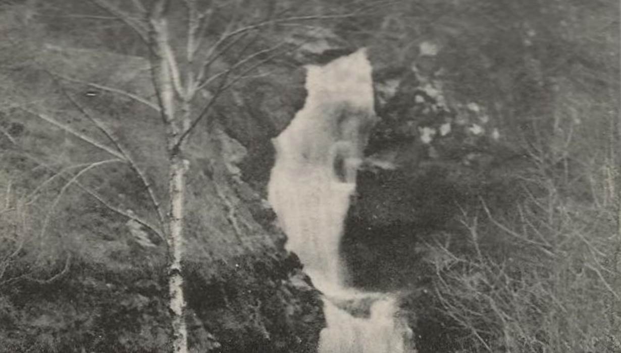 Carte postale vintage histoire parc vuillier correze tourisme tulle 4