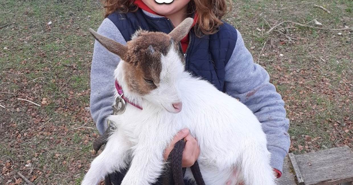 Domaine du Gué du Roi Découvrir la Mini-Ferme