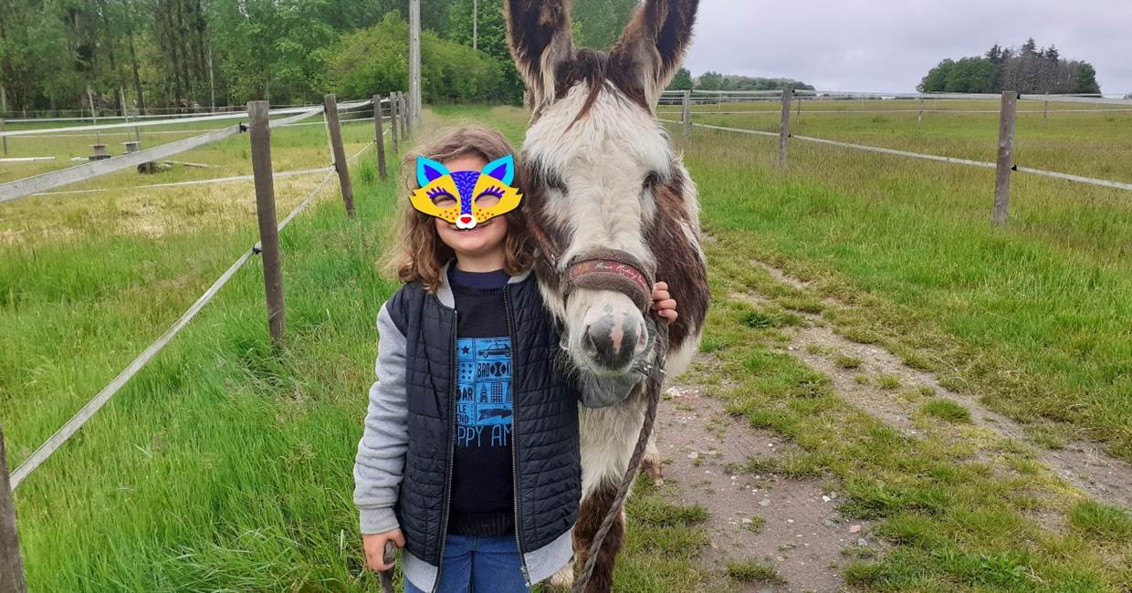 Domaine du Gué du Roi Se Balader à Pied avec l'Ane Iroquois