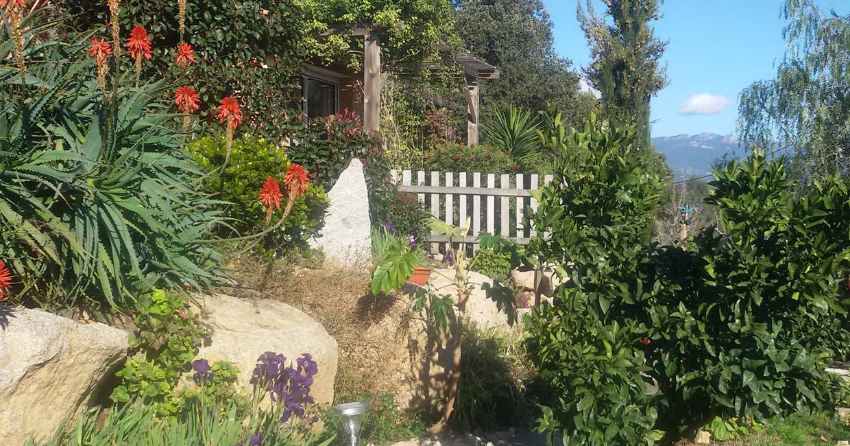 Le jardin de "LA ESCALA"