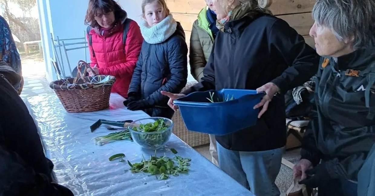 ateliers plantes sauvages