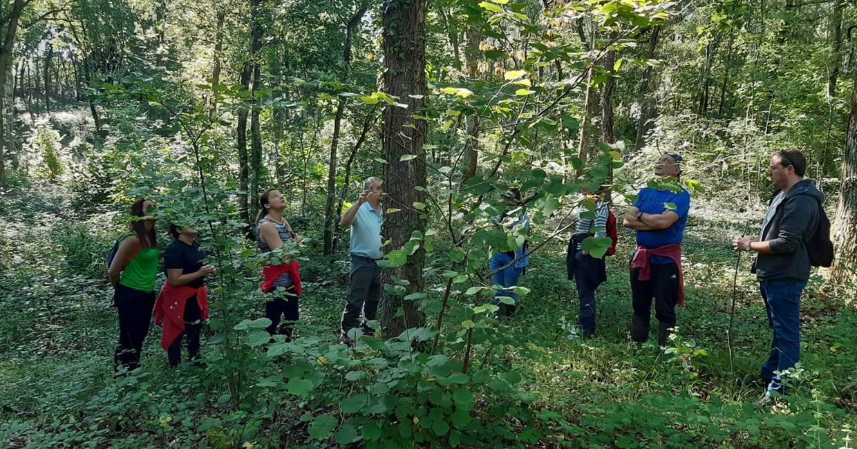 Visite guidée de notre forêt